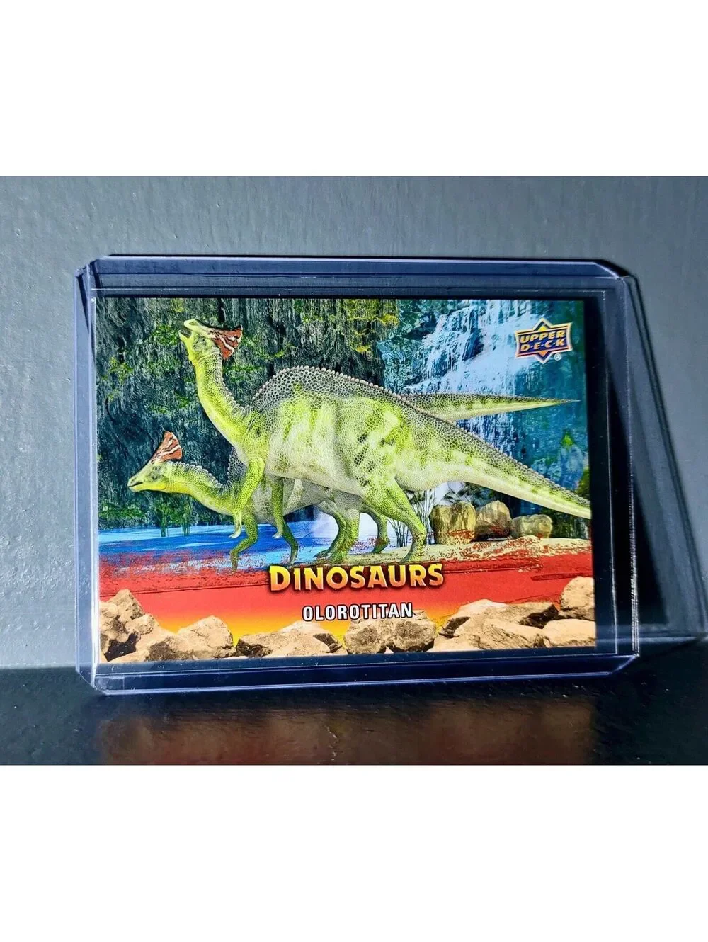 2015 Upper Deck Dinosaurs Olorotitan Extinction Red Parallel #50 Card